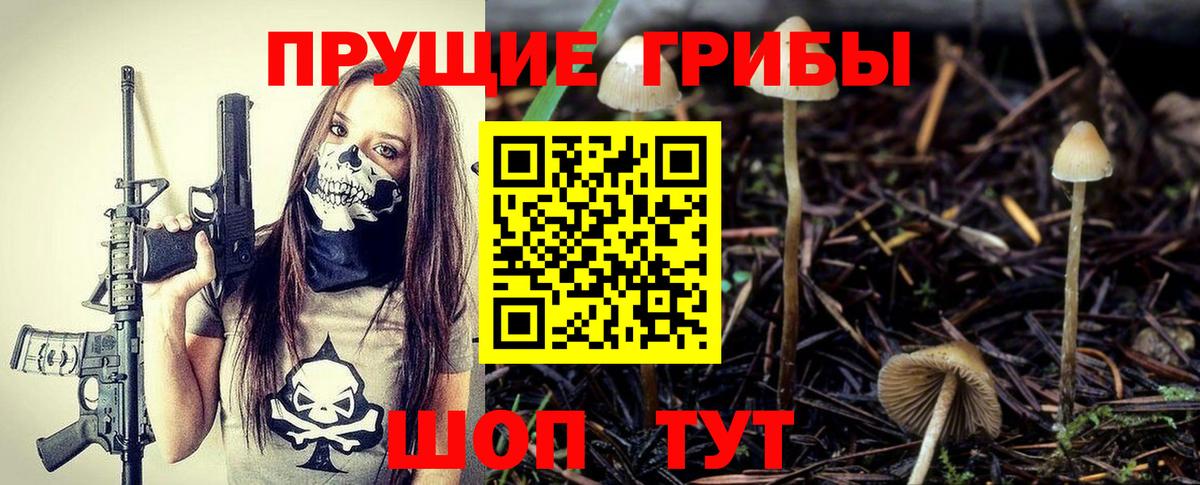 Псилоцибиновые грибы Cubensis Североморск